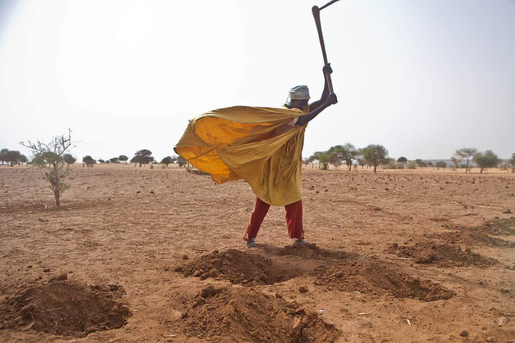 Неплодородната земя, полупустинният климат, недостигът на вода правят много труден живота на хората в Нигер. Снимка: thebronxpapers