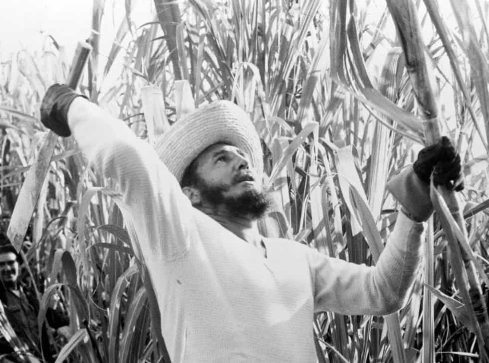 Фидел по време на сафрата–събирането на реколтата от захарна тръстика–през 1961 г.