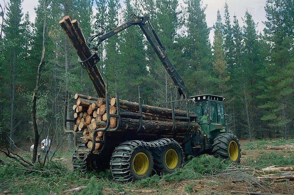"Арауко" и "Мининко" владеят 70% от горската индустрия в Чили. Снимка: Radio Universidad de Chile