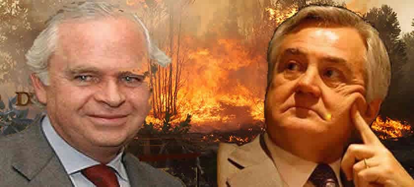Сайтът reddigigital.cl илюстрира статията си с колаж, включващ босовете на фамилия Мати (вляво) и на група "Анджелини" на фона на горски пожари