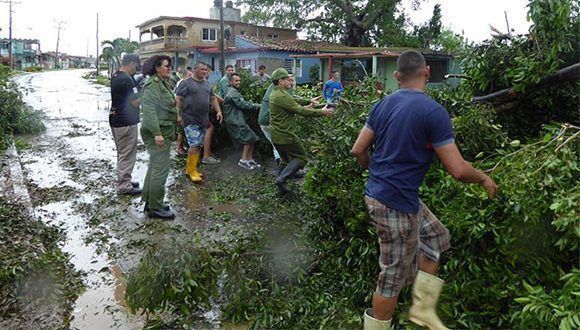 Гражданска защита вдига паднали дървета от шосе в провинция Матансас. Снимка: Cubadebate