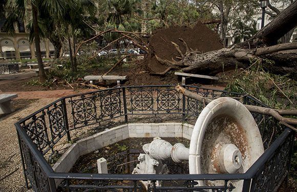 Ураганните ветрове изстръгнаха дървета и събориха фонтан в Централния парк на Хавана. Снимка: Cubadebate 