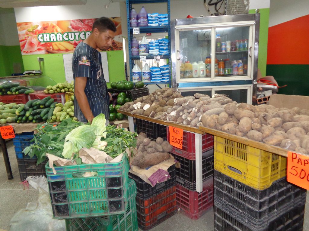 Зеленчуците изобилстват и са на съвсем достъпни цени. Снимка: Къдринка Къдринова
