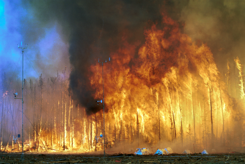 Повишаването на средните температури превръща горските пожари във все по-голям проблем. Снимка: Wikimedia Commons