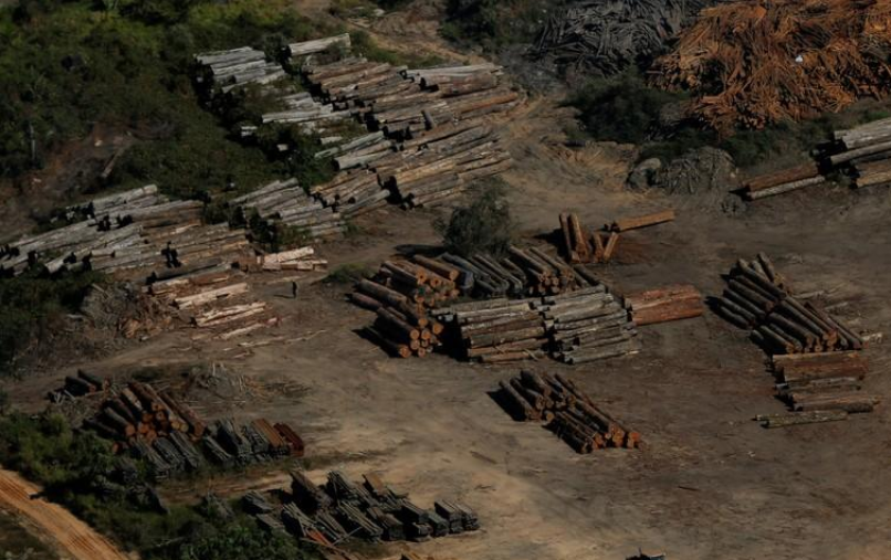 Screenshot_2019-06-06 Satellite data shows Amazon deforestation rising under Brazil's