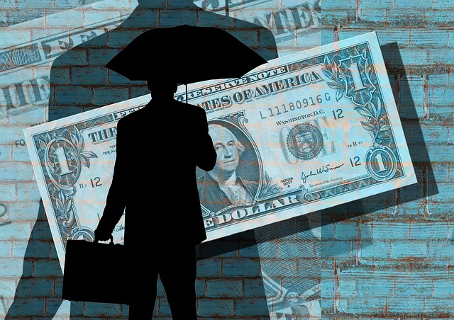 Dollar Man Taxes Career Money Tax Evasion Income
